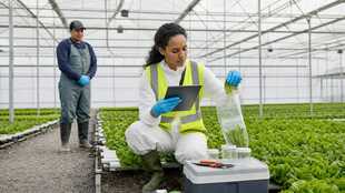 Agricultural Inspector