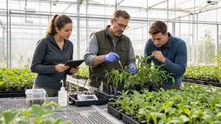 Agricultural Science Professor