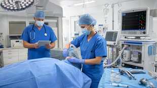 Anesthesiologist Assistant