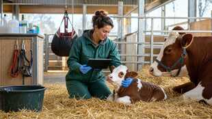 Animal Breeder