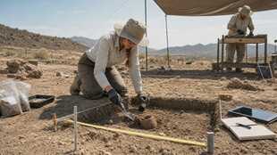 Anthropologist/Archeologist
