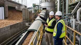 Biomass Power Plant Manager
