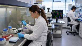 Cell Biologist