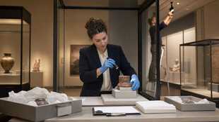 Curator