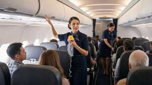 Flight Attendant