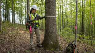 Forest and Conservation Technician