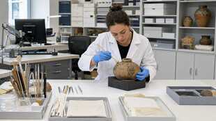 Museum Conservator