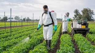 Pesticide Handler