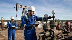 Petroleum Engineer